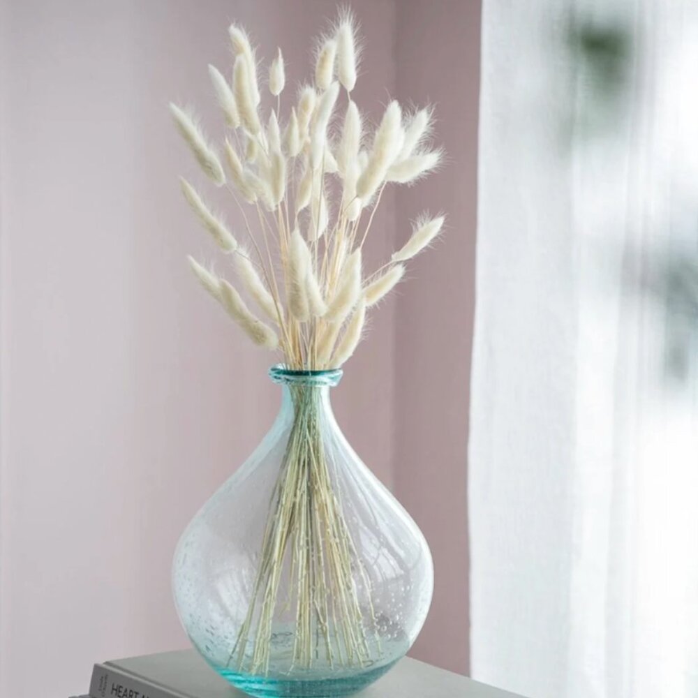 Bunny Tail Grass Bundle